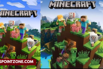 Plug Box Linux Minecraft