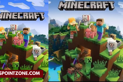 Plug Box Linux Minecraft