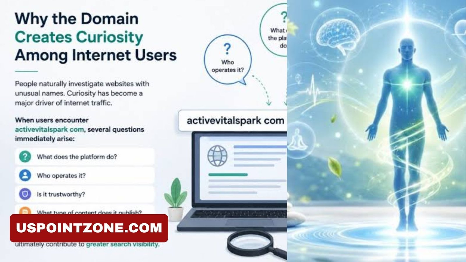 ActiveVitalSpark Com: The Wellness Platform That Could Change How You Live